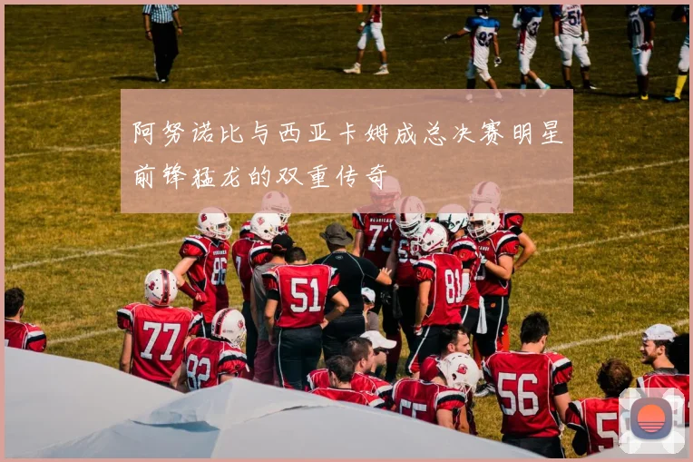 阿努诺比与西亚卡姆成总决赛明星前锋猛龙的双重传奇